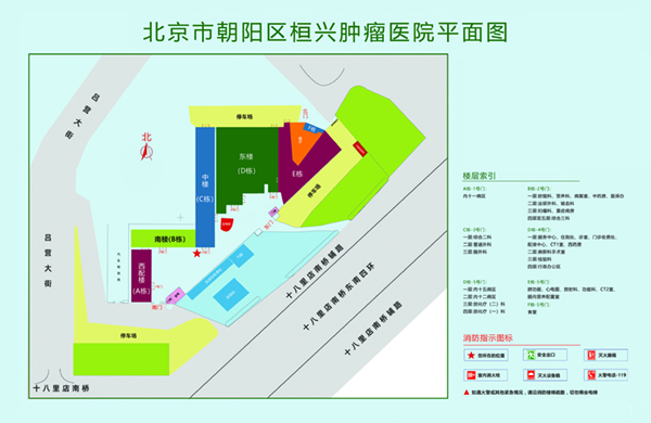 caoB网站内射北京市朝阳区桓兴肿瘤医院平面图